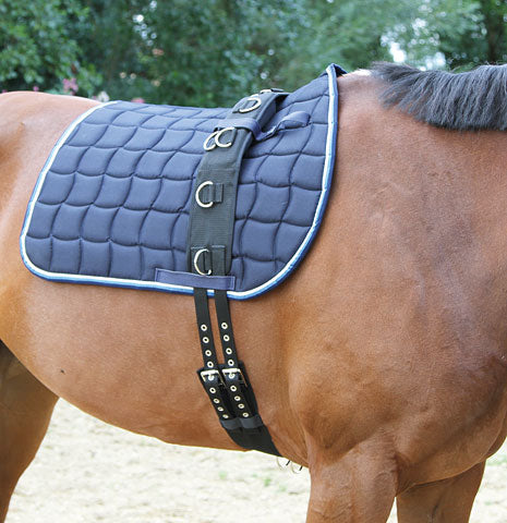 Longiergurt breit und weich, schwarz,