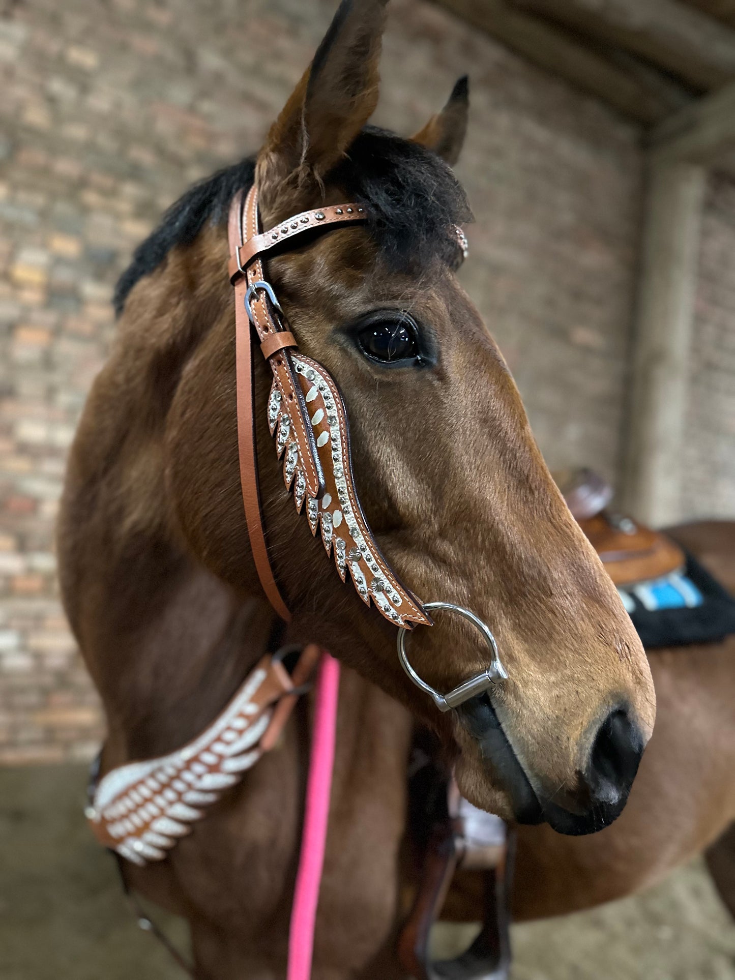 Gutschein von Horse Shop For Everybody