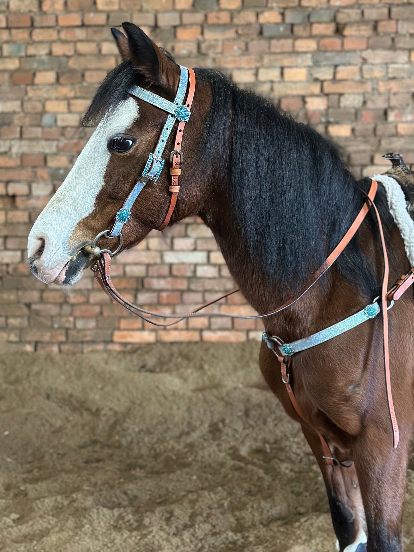 Minishetty / Shetty Glitzer Westernset, Kopfstück und Vorderzeug