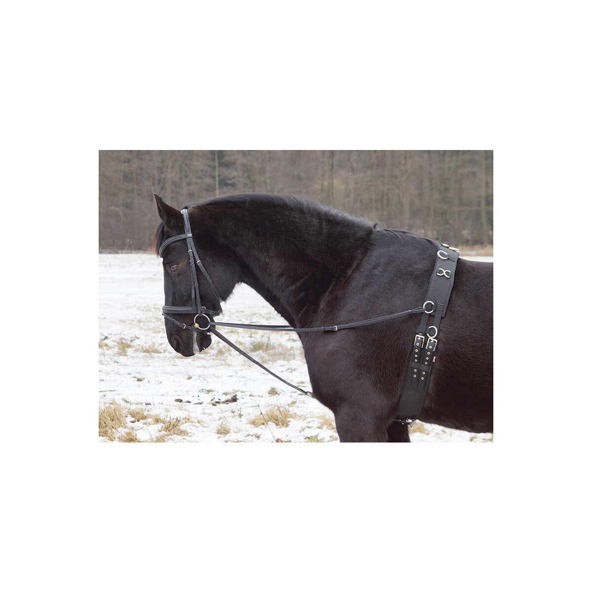 Dreieckszügel - Wienerzügel schwarz Pony