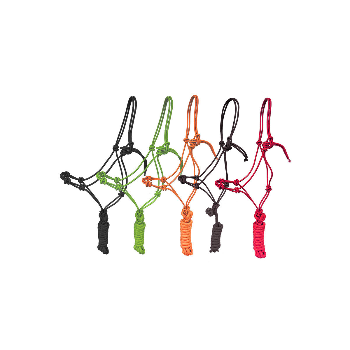 Knotenhalfter "4 knots" inkl. Strick verschiedene Farben