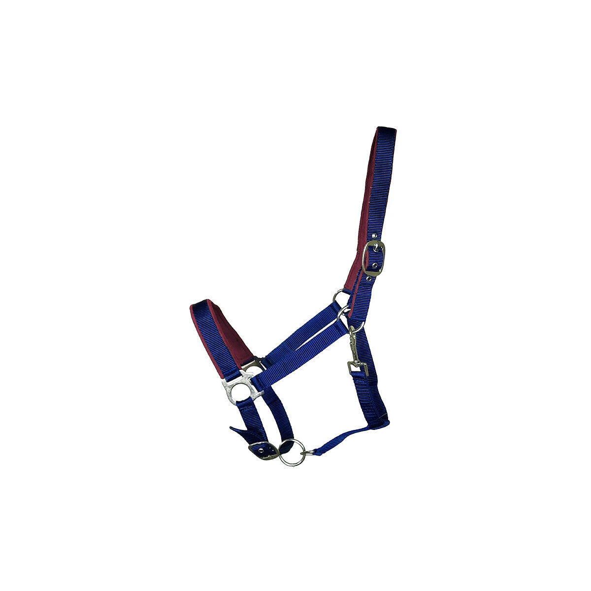 Kunststoffhalfter Basic "Paddy" Full blau