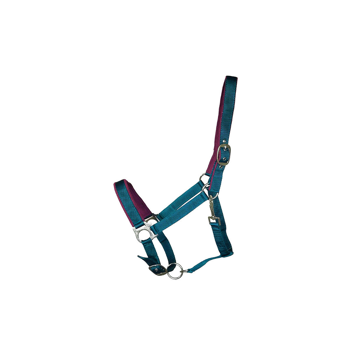 Kunststoffhalfter Basic "Paddy" Pony türkis
