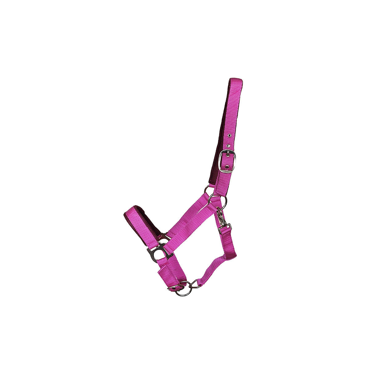 Kunststoffhalfter Basic "Paddy" Cob pink