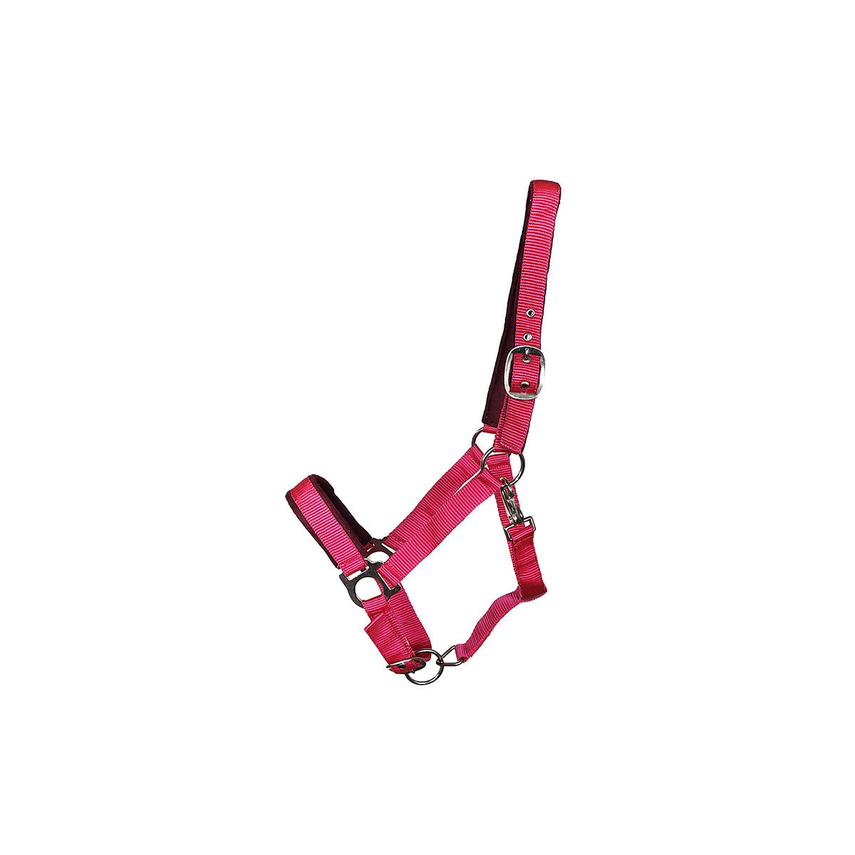 Kunststoffhalfter Basic "Paddy" Cob magenta