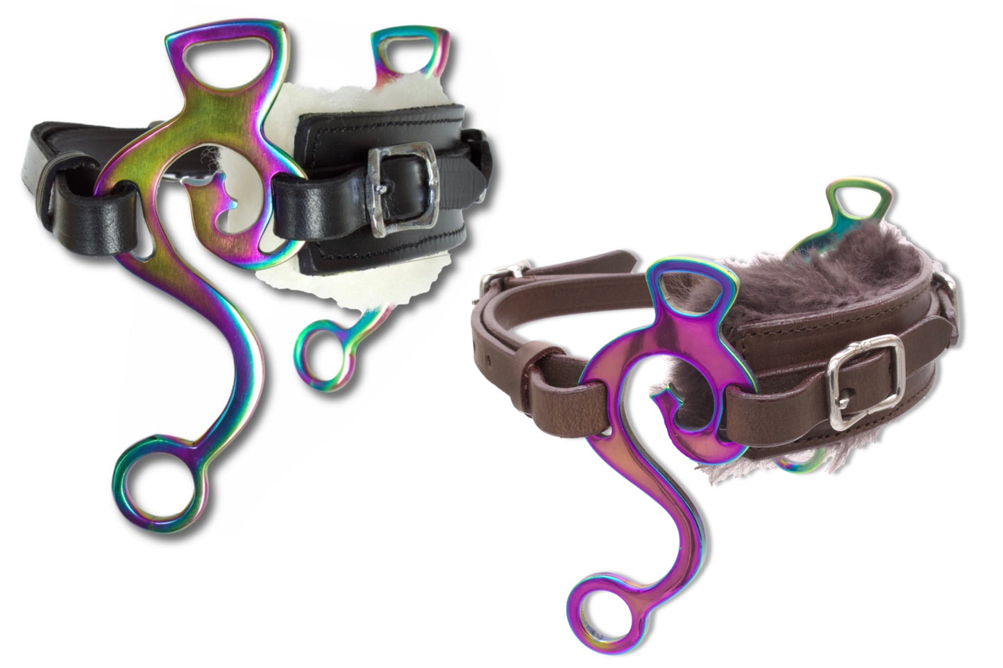 S-Hackamore rainbow, bunt,