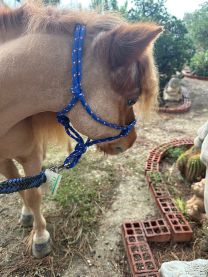 Personalisiertes Knotenhalfter Mini Shetty, Shetty, Welsh A und B