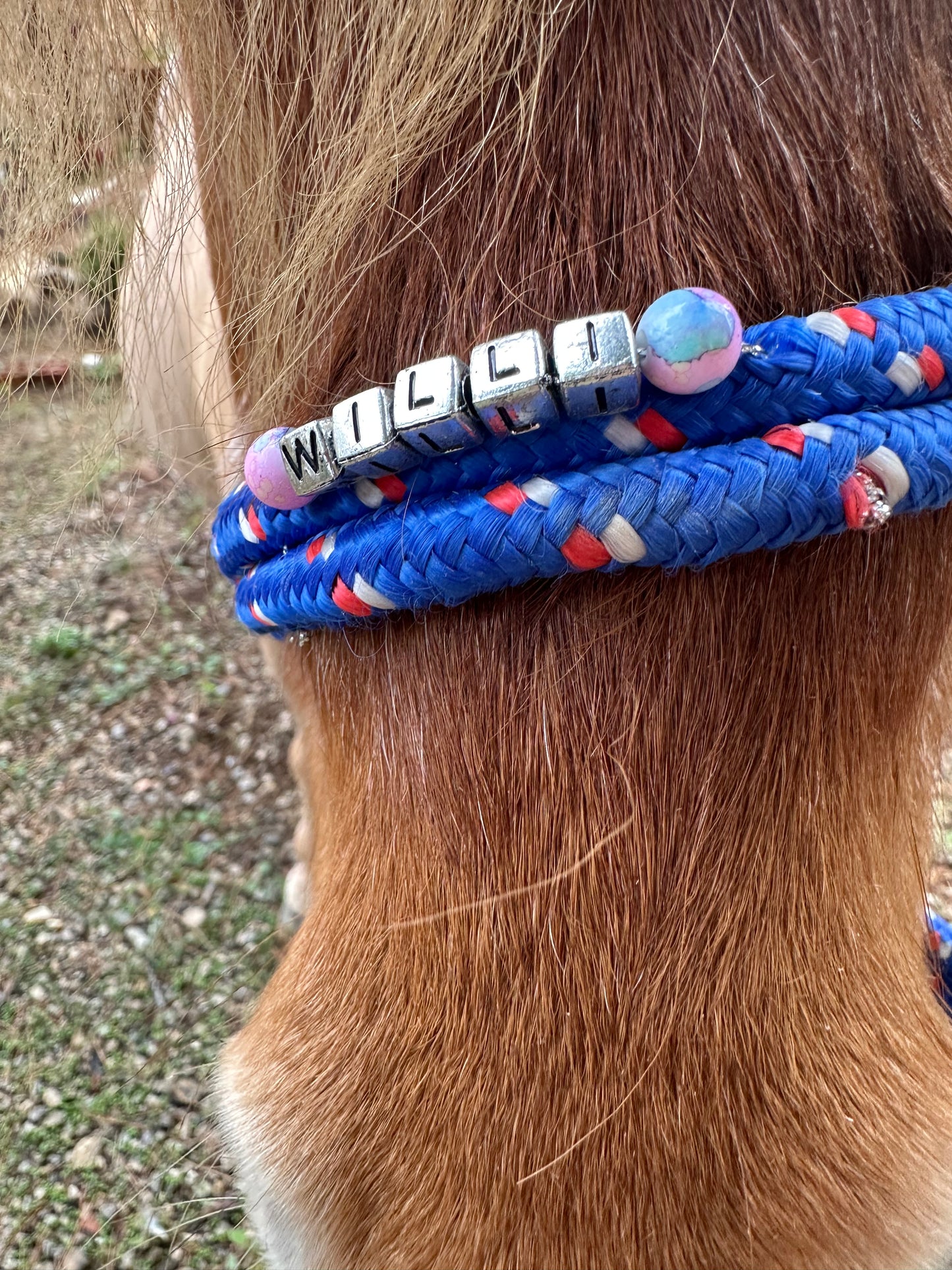 Personalisiertes Knotenhalfter Mini Shetty, Shetty, Welsh A und B