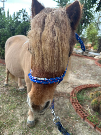 Personalisiertes Knotenhalfter Mini Shetty, Shetty, Welsh A und B