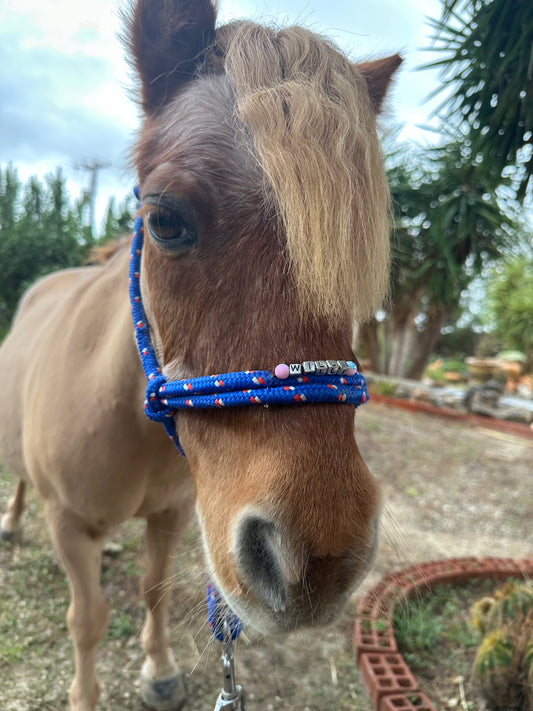 Personalisiertes Knotenhalfter Mini Shetty, Shetty, Welsh A und B