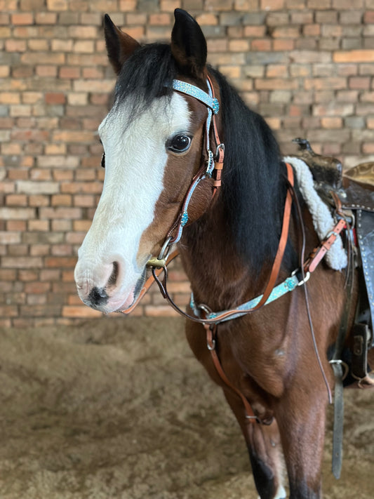 Minishetty / Shetty Glitzer Westernset, Kopfstück und Vorderzeug