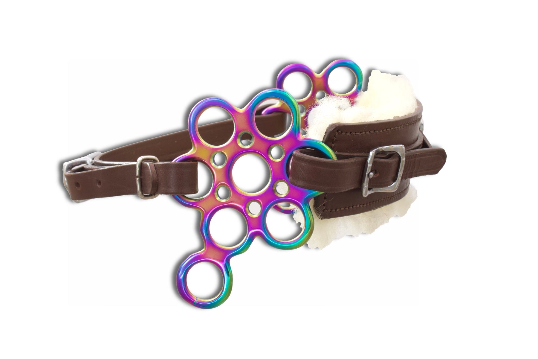 Hackamore Flower rainbow, bunt